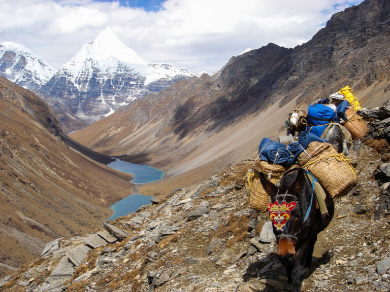 Diwak_Studio_S600-01-281