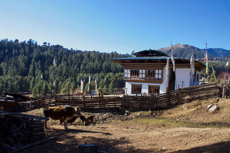 Diwak_Studio_S600-01-592